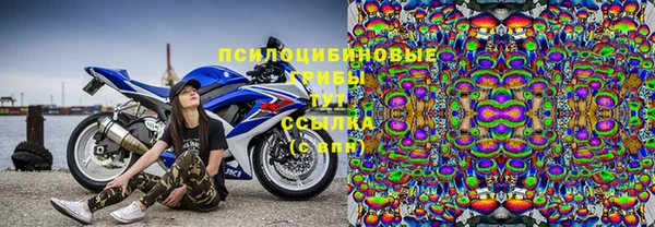 тгк Армянск