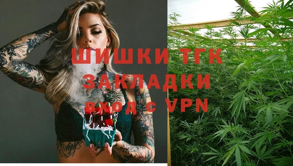 сатива Арсеньев